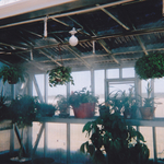 irrigated greenhouse