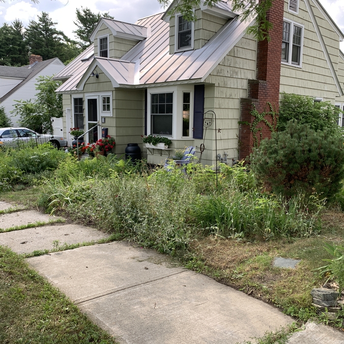 Yard Overhaul