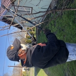 Trimming