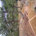 Upper portion