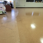 Our Work