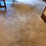Our Work
