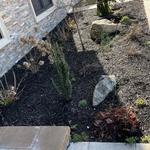 Spring Cleanup & Mulch