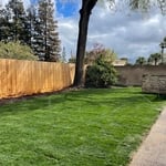 Sod installation