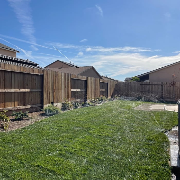 Sod installation