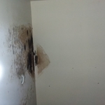 mold contaminated ceiling