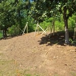 Custom privacy fence