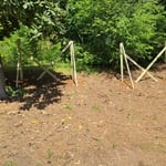 Custom privacy fence