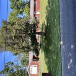 Top Notch Tree Care