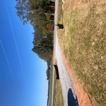 Driveway and Grading Project