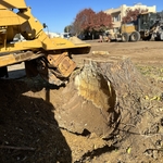 Stump Grind