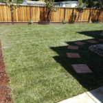 custom Garden Planning whitter
