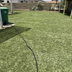 Affordable sod installation