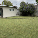 Landscaping services