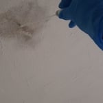 Mold Swab
