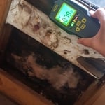 Mold Testing
