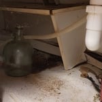Kitchen Mold