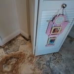 Mold Testing