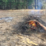 burn pile
