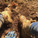 we get muddy so you don't have to