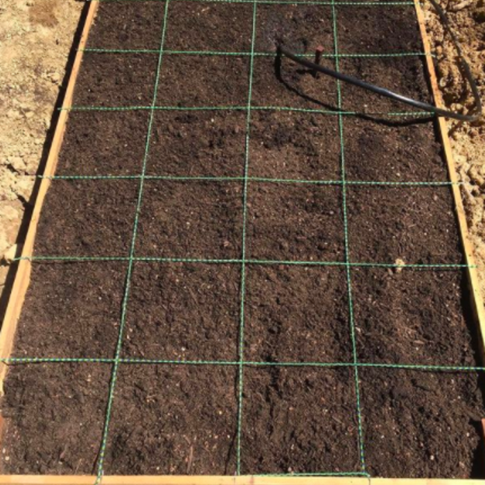 Square foot raised bed garden