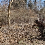 Left Garden