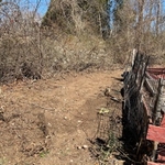 Left Side Garden