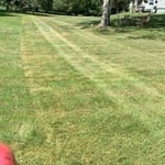 Lawn Maintenance