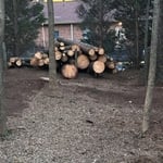 Our Work