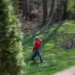 Laurel MD Tree Removal