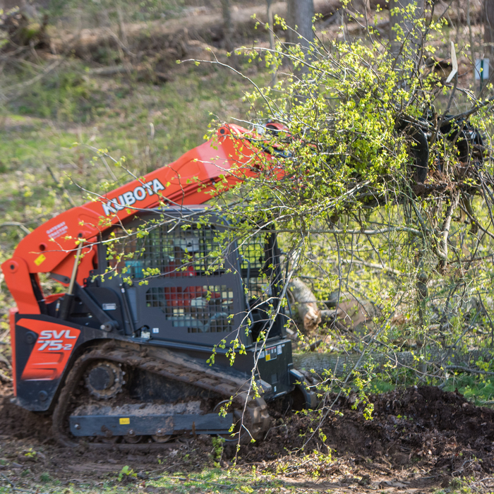 Laurel MD Tree Removal