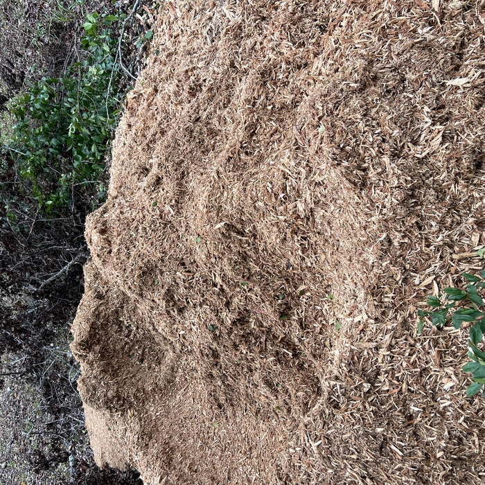 Stump Removal & Grinding