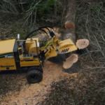 Stump Removal & Grinding
