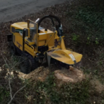Stump Removal & Grinding