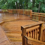 Our Work