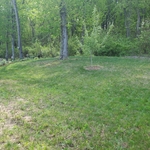 Client pictures from 2021