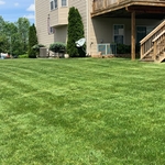 Client pictures