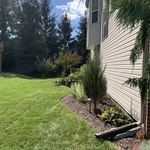 Client pictures