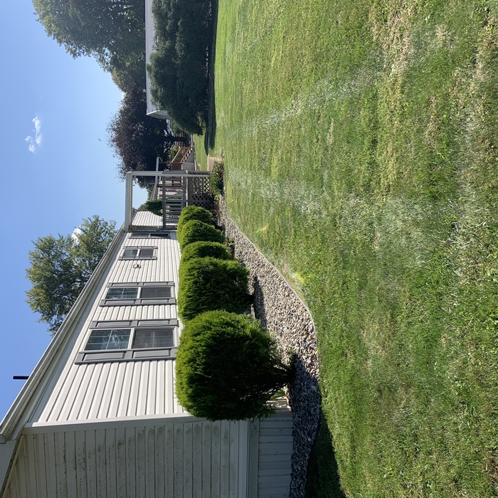Client pictures from 2021