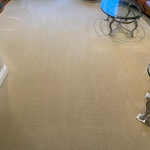 Cleaned carpet