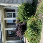 Our work