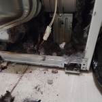 Lint Build up