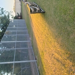 Park in lake charles