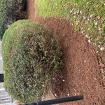 My Projects