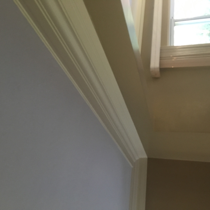 Water damaged cove work