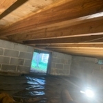 mold remediation