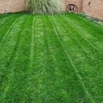 small blue springs yard