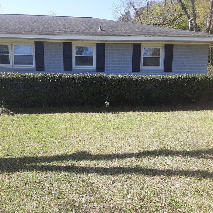 just trimmed up some hedges