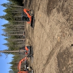 Lot clearing