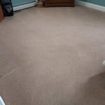 Carpets, Tile, Upholstery